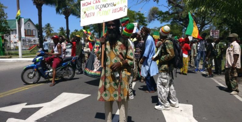 ‘The law is the law’ – Gov’t resists pressure for marijuana decriminalisation