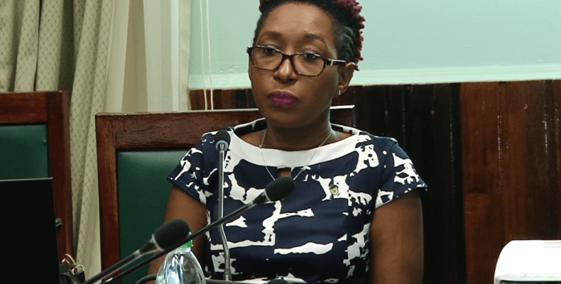 Guyana cannot achieve 100% renewable power by 2025 – officials