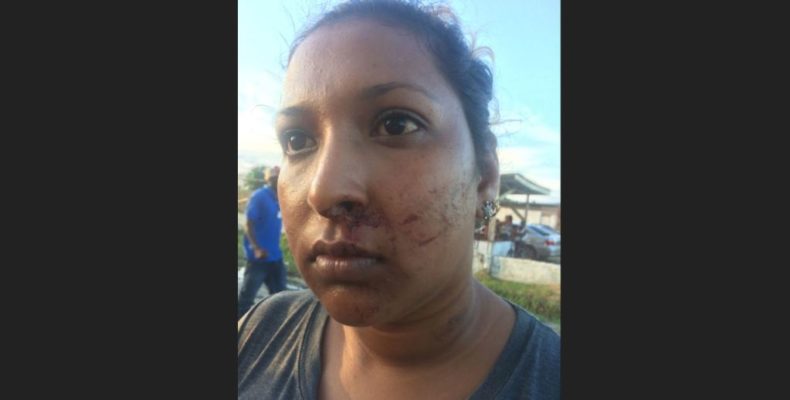 VIDEO: Stray catchers accused of brutalising Kaneville Family