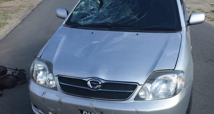 Elderly man struck down on Richmond Public Road