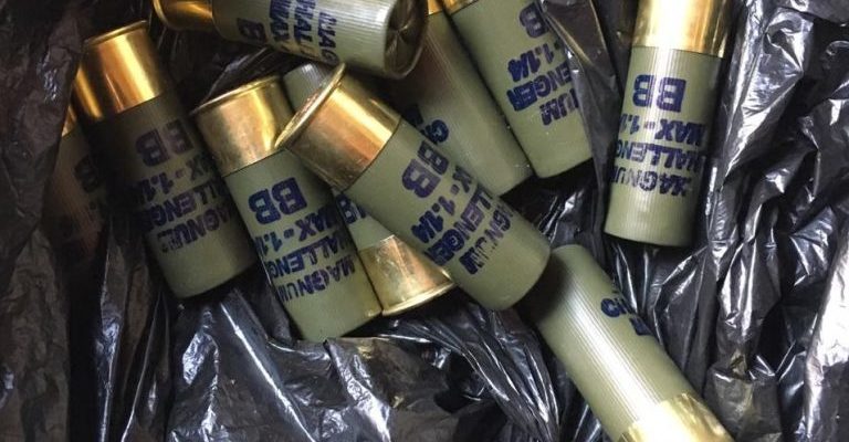 Logger caught with live 12-gauge cartridges