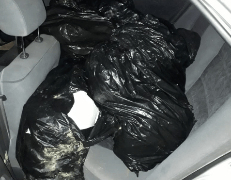 Driver abandons Toyota 212 packed with marijuana after Berbice crash
