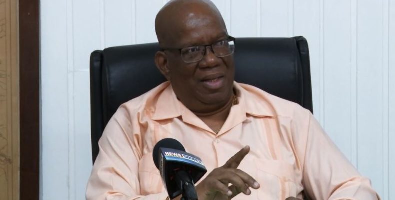 Stockfeeds shares sold below value to Robert Badal – Finance Minister