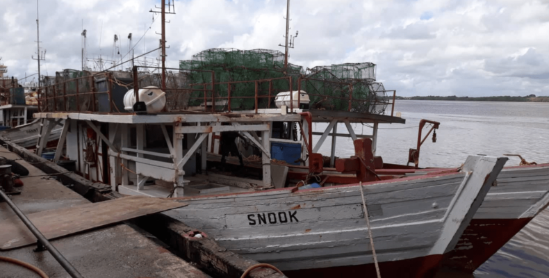 Labour Department launches probe into Fishing Tragedy at Sea