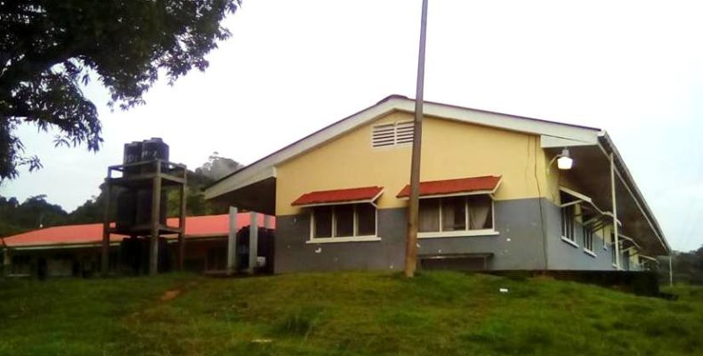 BREAKING: One dead, several hospitalised following Dengue outbreak at Matthew’s Ridge