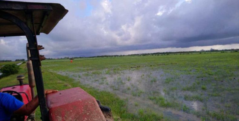 Collapsed sea defence: resources diverted to protect farmlands in Mahaicony