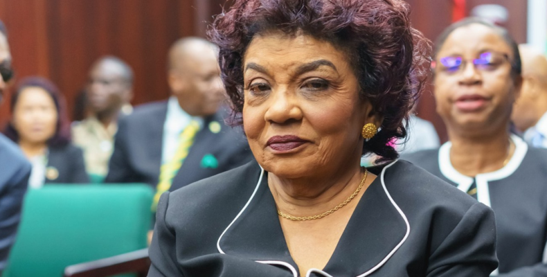 House-to-House Registration and Claims and Objections dominate Commissioners Meeting with new GECOM Chair