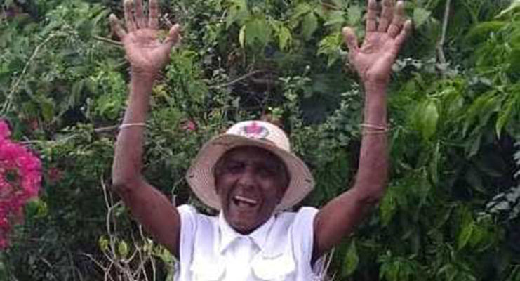Elderly Berbice woman dies from bee stings
