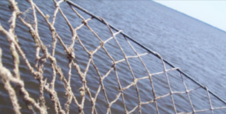 Two fishermen dead, two missing in a suspected pirate attack