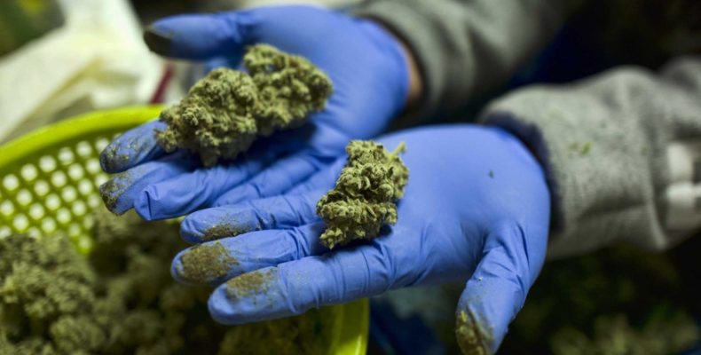 Prison Officer busted with weed in underwear