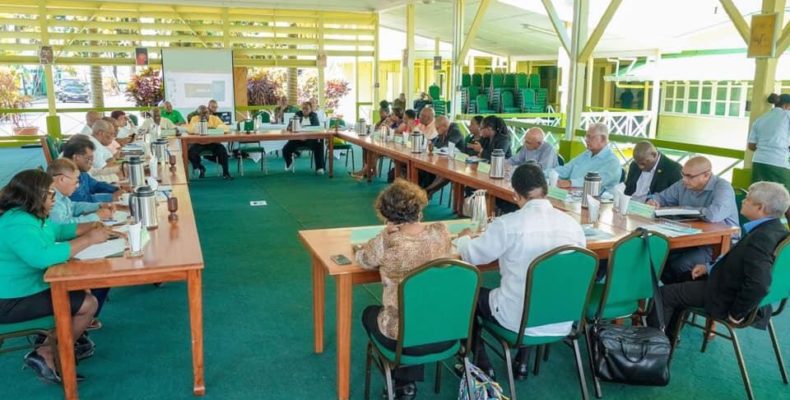 President Granger establishes ministerial task force to address COVID-19