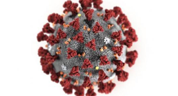 BREAKING| Four new confirmed cases of COVID-19