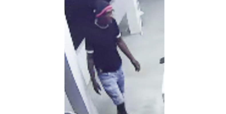 Man steals $1.5M worth in birds; owner offering $100,000 cash reward