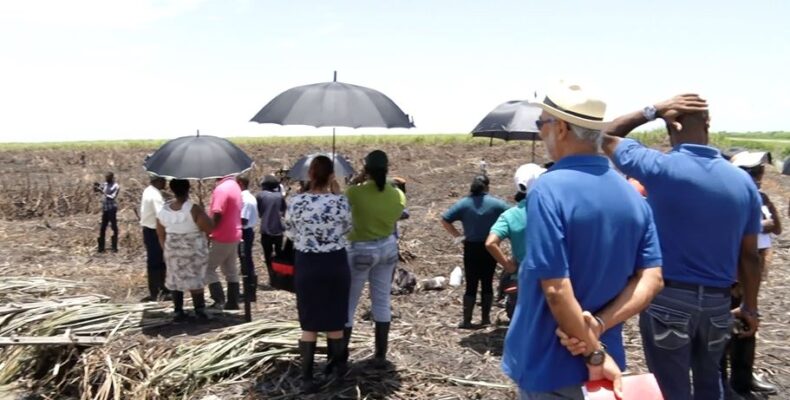 GuySuCo says adequate COVID-19 measures in place for workers at Uitvlugt Estate