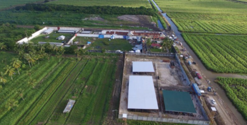 Two prison officers under close arrest over marijuana bust in barracks