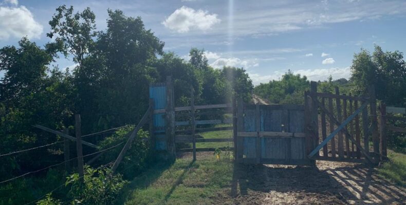 Girl, 6, battling for life after found submerged in swamp