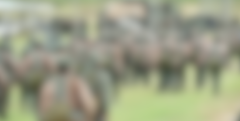 Five GDF Soldiers being probed over rape allegations