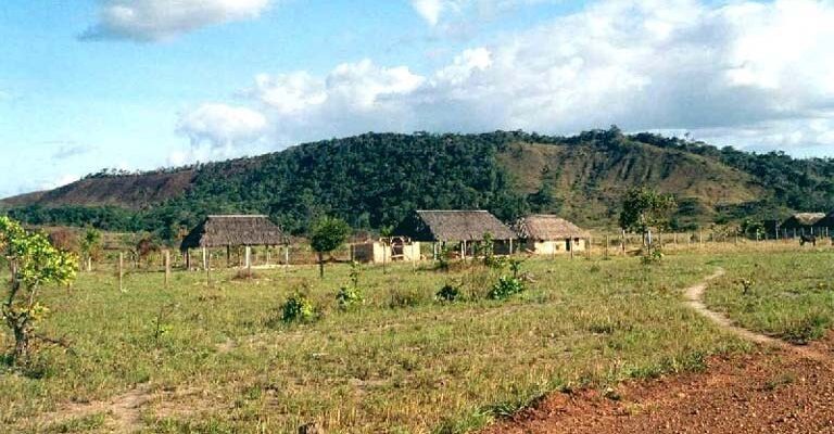 Research finds lack of protection, recognition of Indigenous lands in Guyana