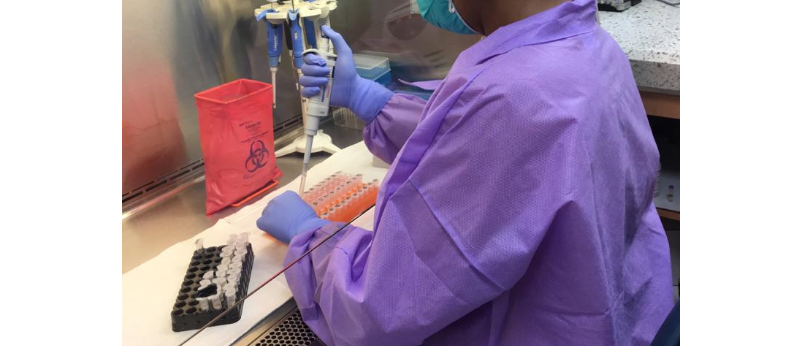 120 new COVID-19 cases from over 1000 tests