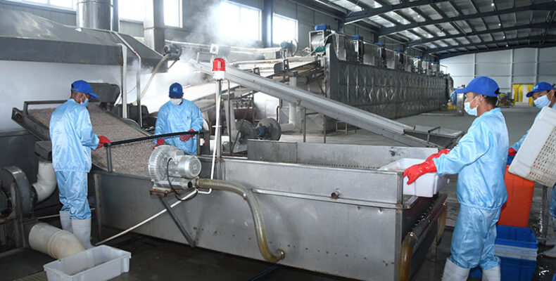 US$25M Chinese seafood company creates 240 local jobs