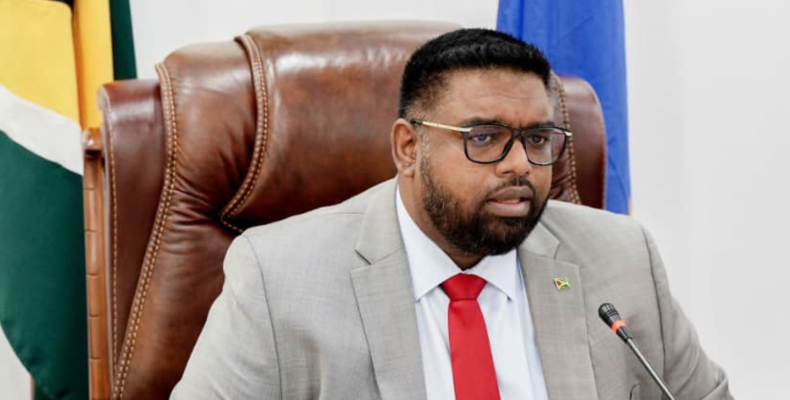 President assures European investors of enabling investment climate in Guyana