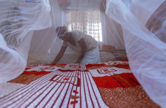 Malaria cases increased by nearly 50% in five years