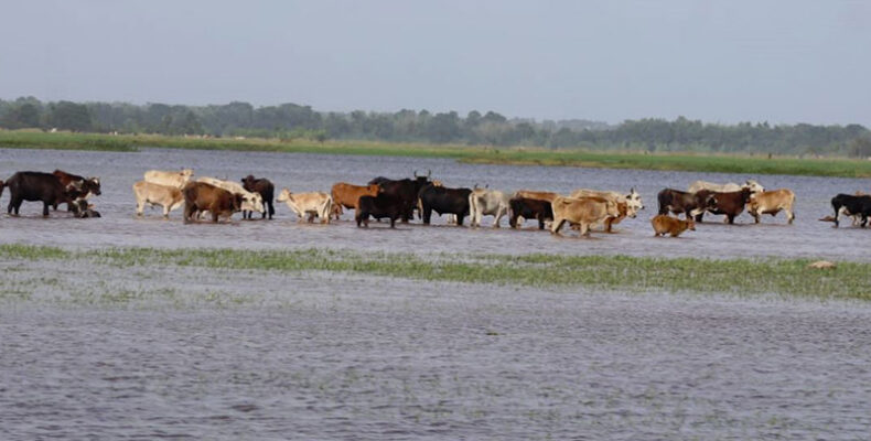 President Ali officially declares flooding a national disaster