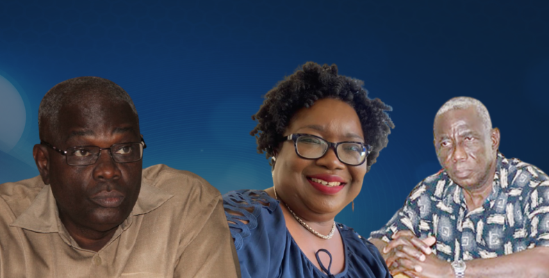 Fired GECOM trio had no security of tenure in their contracts -GECOM