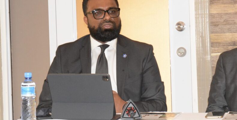 Lowenfield, Myers and Mingo ‘booted’ from GECOM