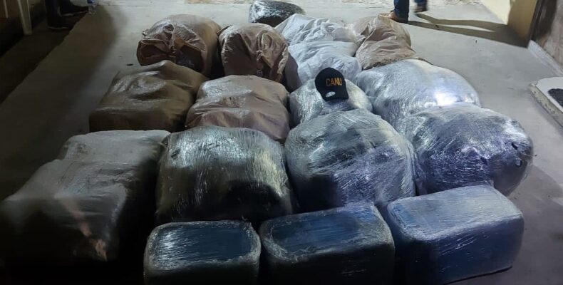 CANU and Police unearth 540lbs marijuana in Cambell Avenue operation; 2 arrested