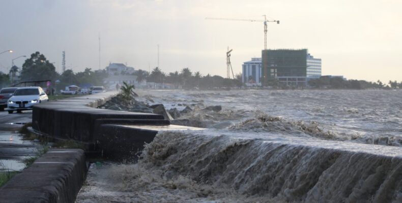 Climate change: Vulnerable countries need adequate financing for their development – Pres. Ali