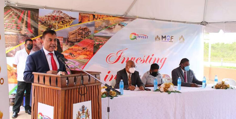US$1.3B in foreign direct investments recorded