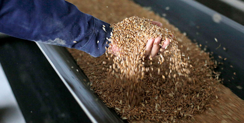 World food prices reach new peak since July 2011