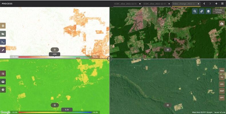 Revamped forest, land monitoring tool to reverse forest loss