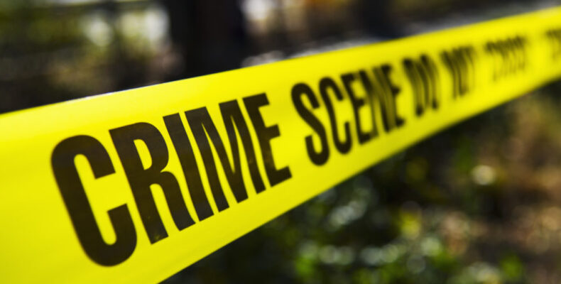 Woman, teen son & nephew arrested for breaking into Courts NA branch