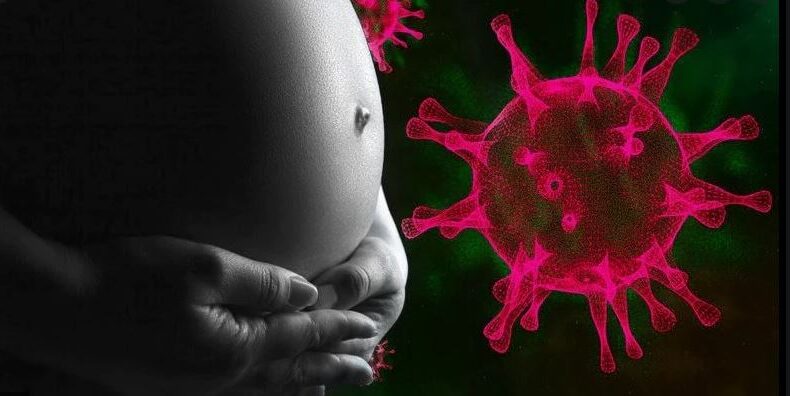 Pregnant women almost half of patients in COVID-19 institutions