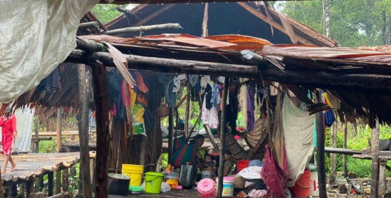 Some 24,500 Venezuelan migrants in Guyana; concerns of vulnerable Warraus mount
