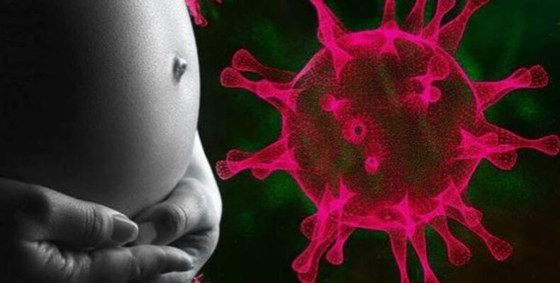Large number of COVID-19 patients in institutional care are pregnant women
