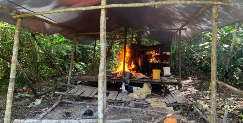 Over $37M in ganja destroyed by police