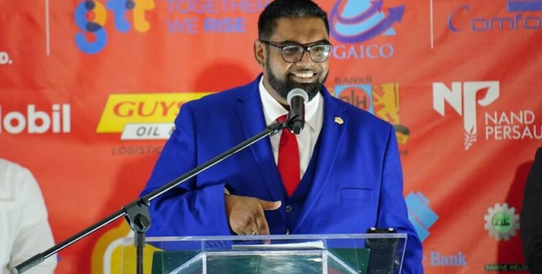 Gov’t ‘oversubscribed’ with investors for Silica city – Pres. Ali