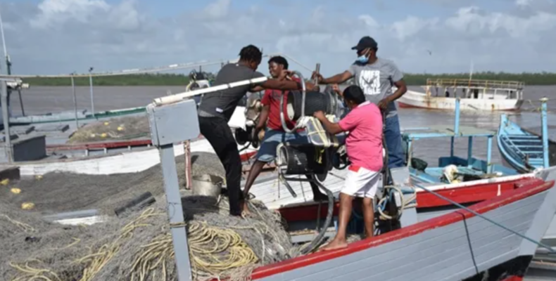 Decline in fish catch being analyzed