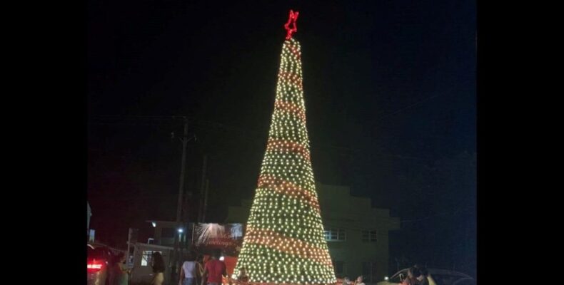Region Three unveils massive Christmas tree to usher in festive season
