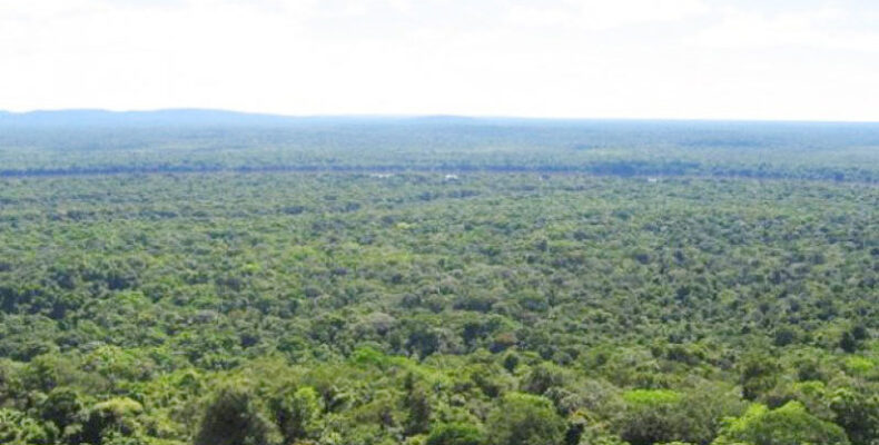 Guyana among eight nations to benefit from US$13.6M FAO projects