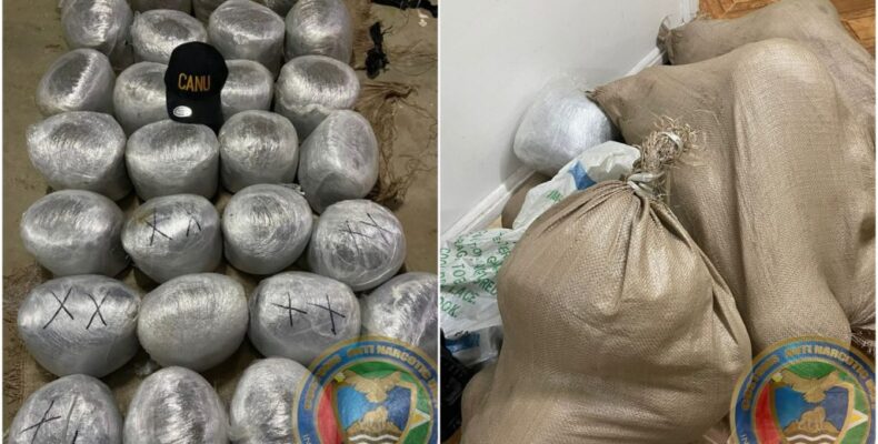 CANU finds over $25M in ganja at Corentyne cane field; suspects escape