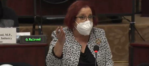 Duncan cautioned for interrupting House Speaker Nadir
