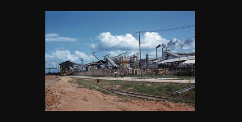 Linden Electricity Company filed no tax returns in last eight years
