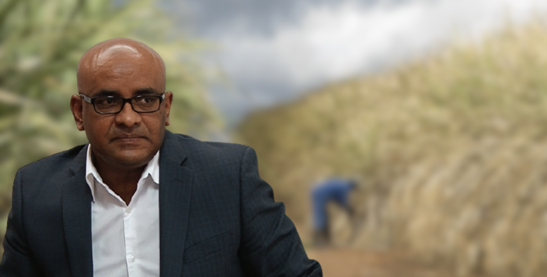 No timeline for sugar estates’ return to viability; Alternative employment sources being sought -VP Jagdeo