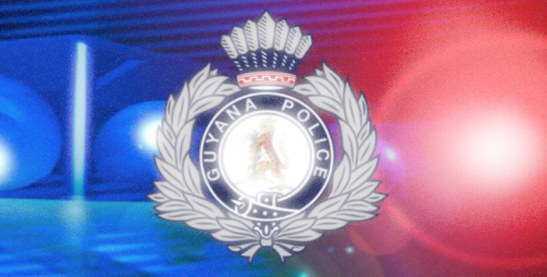 Parliamentary Committee makes nominations for Police Service Commission
