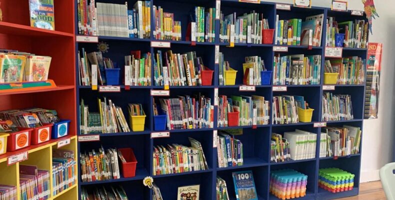 Plaisance Primary gets a library
