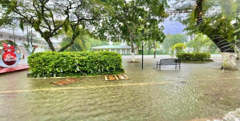 Regions being “closely monitored” by National Flood Taskforce after heavy rainfall floods Georgetown